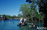 Crystal River National Wildlife Refuge