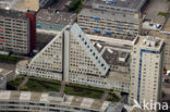 The Hague