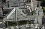 The Hague