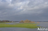 IJssel