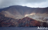 Guadalupe Island