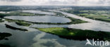 Nationaal Park de Biesbosch