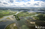 Nationaal Park de Biesbosch