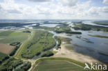 Nationaal Park de Biesbosch