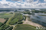 Nationaal Park de Biesbosch