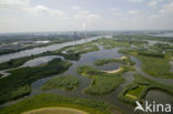 National Park de Biesbosch