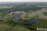 Nationaal Park de Groote Peel