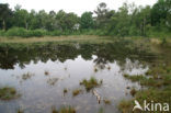 Nationaal Park Grenspark De Zoom