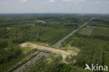 Wildlife crossing Het Groene Woud