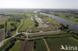Lower Rhine