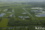 Oostelijke Binnenpolder