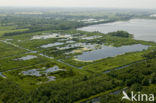 Oostelijke Binnenpolder