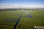 Polder de Ronde Hoep