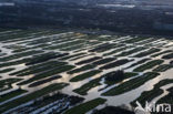 Polder Oostzaan