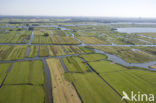 Polder Wormer