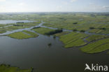 Polder Wormer