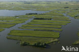 Polder Wormer