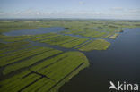 Polder Wormer