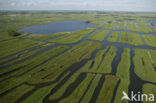 Polder Wormer