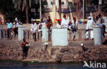 Port Sudan