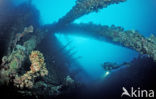 Red sea