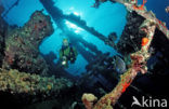 Red sea