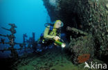 Red sea