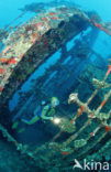 Red sea