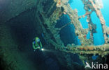 Red sea