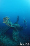 Red sea