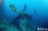 Red sea