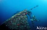 Red sea