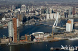 Rotterdam