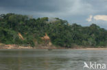 Tambopata National Park