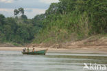 Tambopata National Park