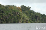 Tambopata National Park