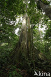 Tambopata National Park