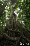 Tambopata National Park