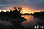 Tambopata National Park