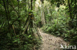 Tambopata National Park