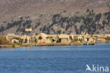 Titicaca meer