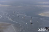 Waddensea