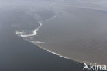 Waddensea