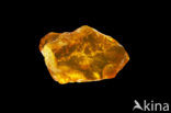 Amber