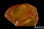 Amber