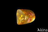 Amber
