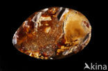 Amber
