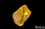 Amber