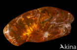 Amber