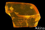 Amber